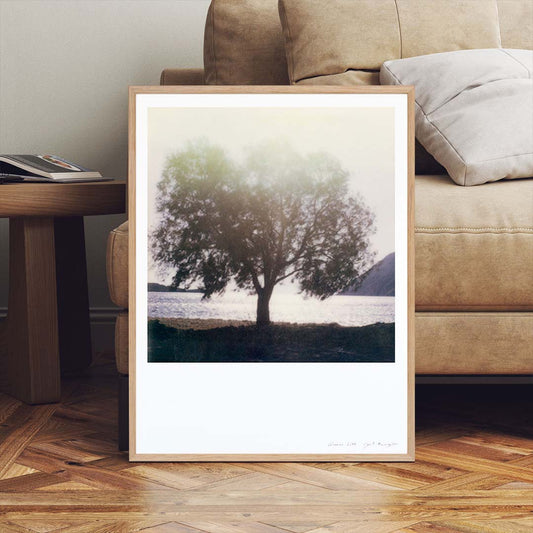 Décoration intérieur tirage Polaroid arbre grèce patmos