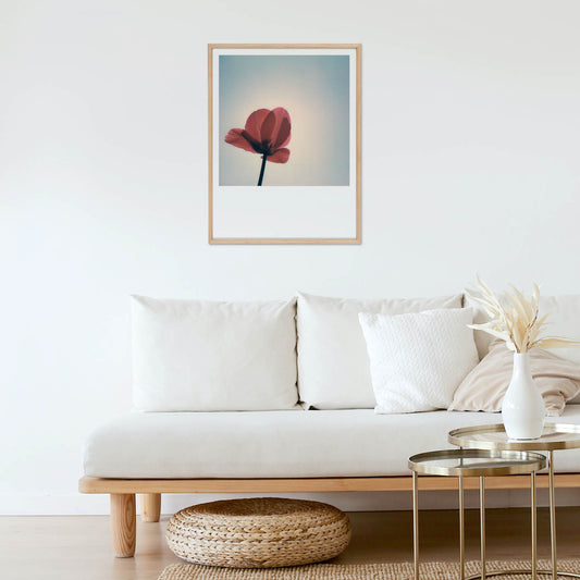 Décoration polaroid tulipe fleur