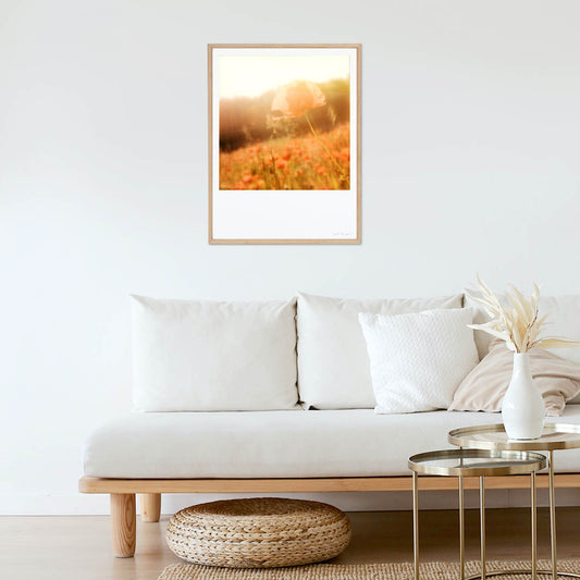 Décoration appartement tirage Polaroid grand format coquelicot