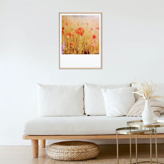 Décoration tirage polaroid grand format coquelicot