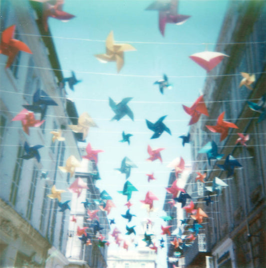 cerf volant Polaroid