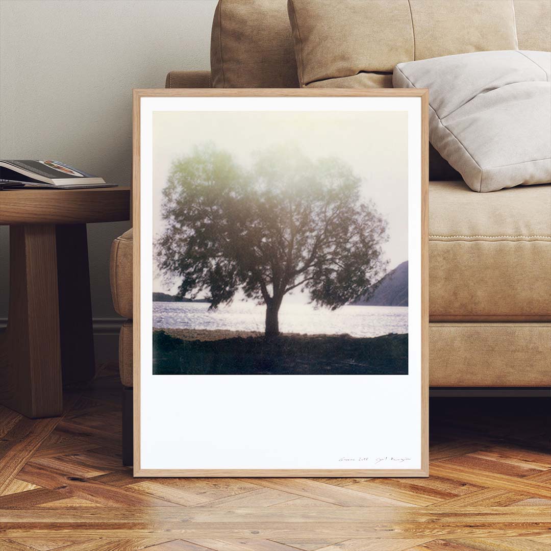 Décoration intérieur tirage Polaroid arbre grèce patmos