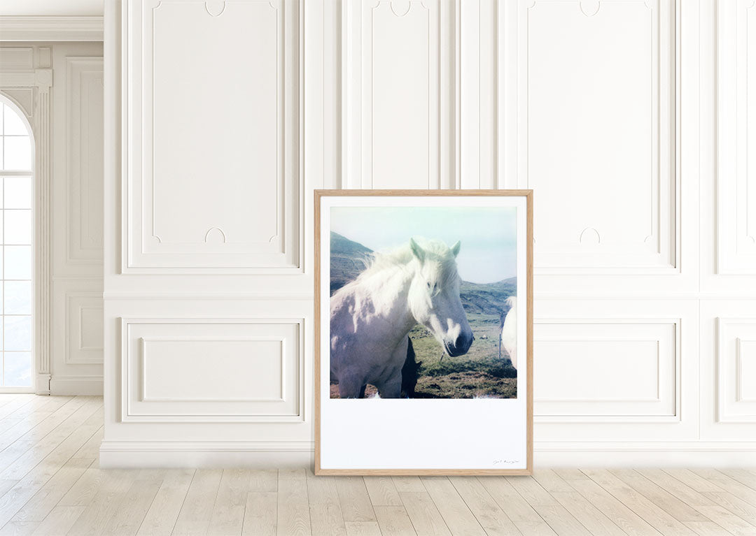 Déco tirage Polaroid Cheval Islande photo