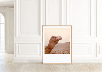 Décoration tirage Polaroid grand format chameau Inde désert