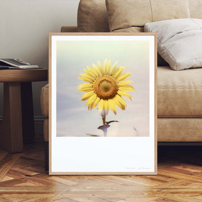 Décoration Appartement salon Polaroid tournesol fleur tirage impression photo