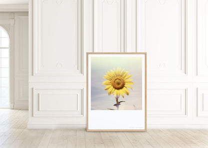 Appartement salon Polaroid tournesol fleur tirage impression photo