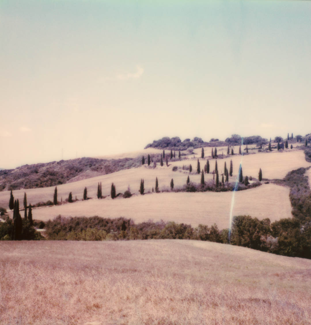 Polaroid Toscane cyprès