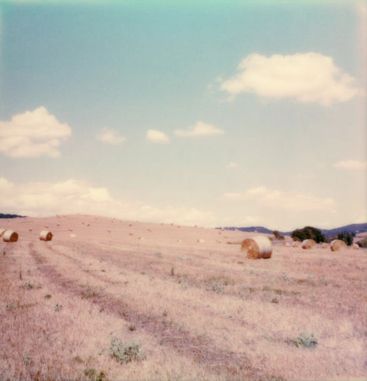 Tirage polaroid champ italie toscane