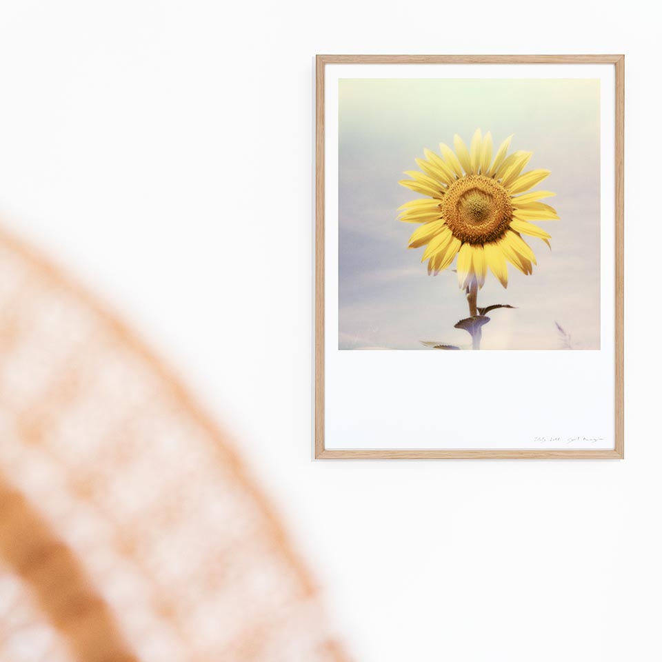 Appartement Polaroid tournesol fleur tirage impression photo