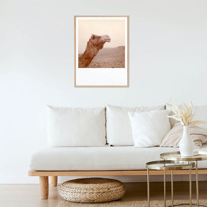 Décoration tirage Polaroid grand format chameau Inde désert