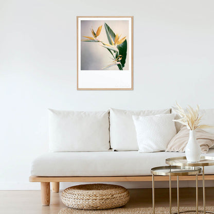 Décoration appartement 
impression photo polaroid fleurs 