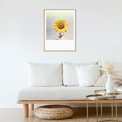 Décoration Appartement salon Polaroid tournesol fleur tirage impression photo
