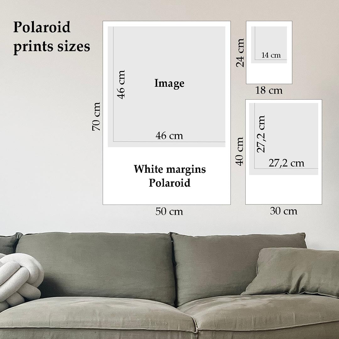 Tirage Polaroid - Cheval d'Islande