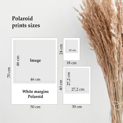 Tirage Polaroid - Chemin de cyprès