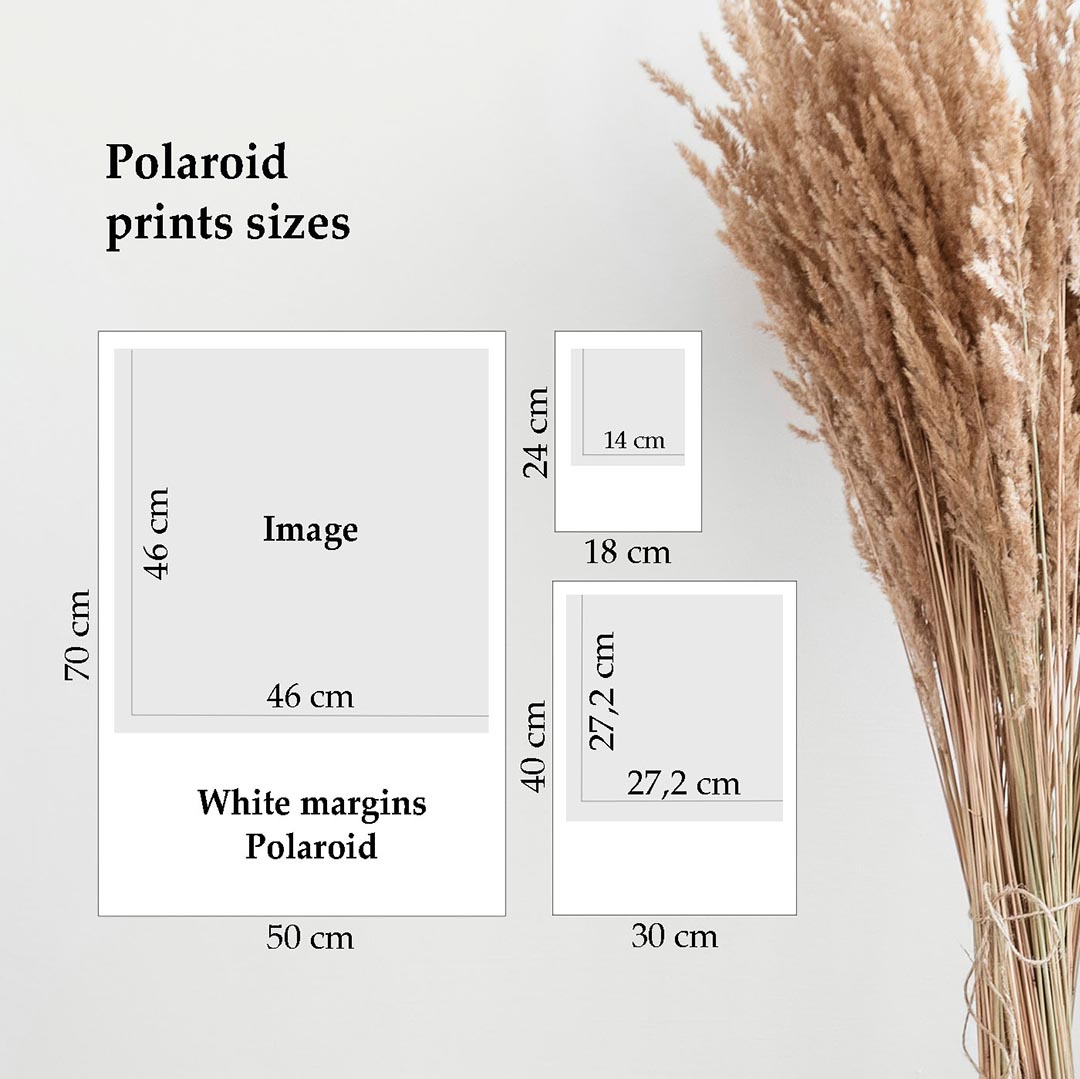Tirage Polaroid - Champ doré