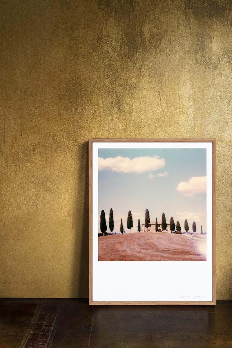 Decoration Polaroid Cyprès Toscane Italie tirage photo impression