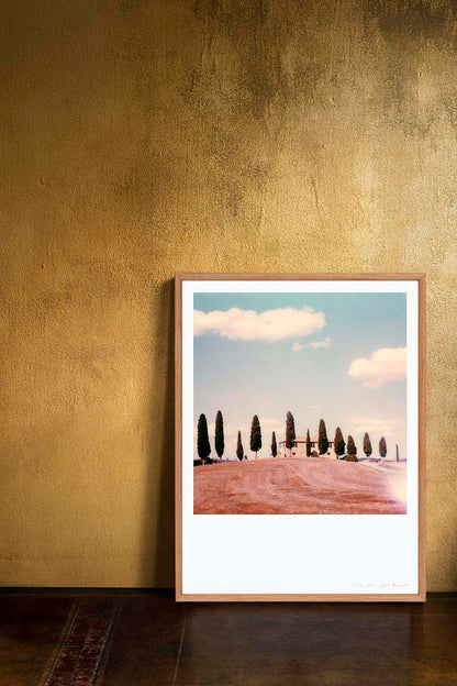 Decoration Polaroid Cyprès Toscane Italie tirage photo impression